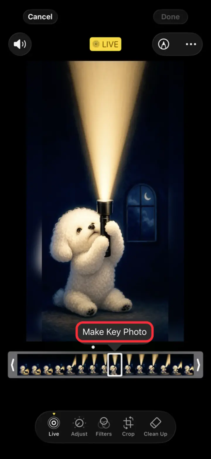 Photos Live Photo editor with the frame strip open and the “Make Key Photo” button ringed in red above the selected frame